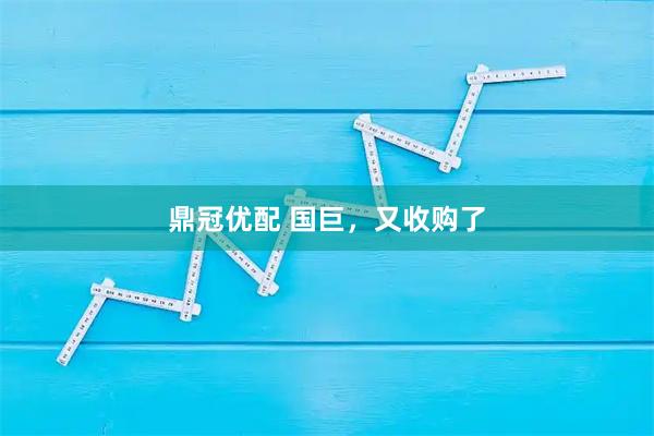 鼎冠优配 国巨，又收购了