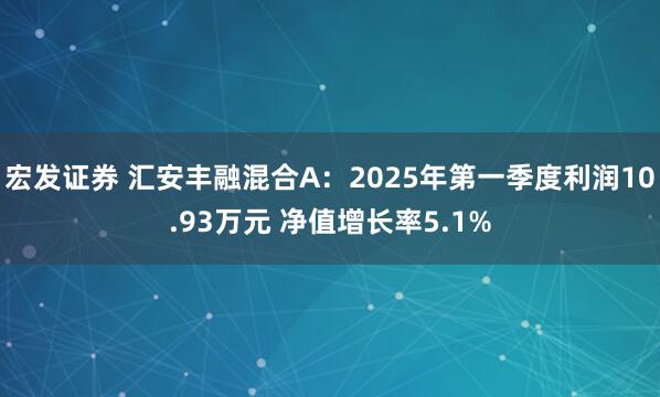 宏发证券 汇安丰融混合A：2025年第一季度利润10.93万元 净值增长率5.1%