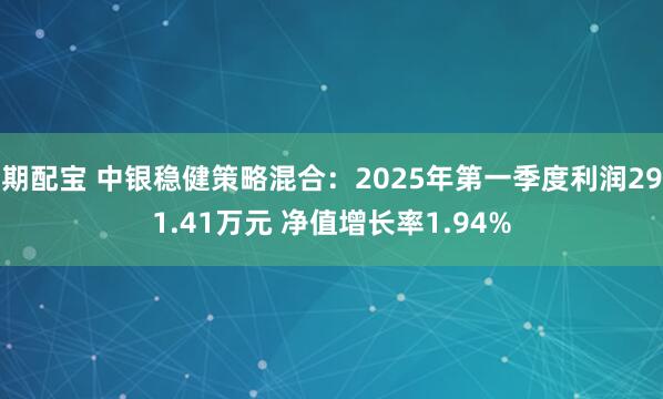 期配宝 中银稳健策略混合：2025年第一季度利润291.41万元 净值增长率1.94%