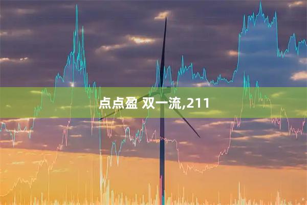 点点盈 双一流,211