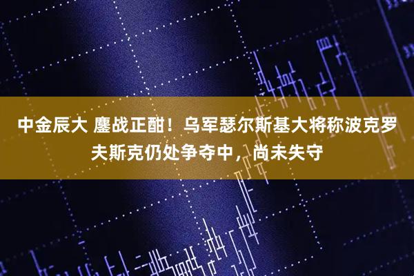 中金辰大 鏖战正酣！乌军瑟尔斯基大将称波克罗夫斯克仍处争夺中，尚未失守
