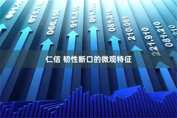 仁信 韧性断口的微观特征